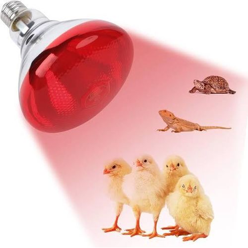 🐔 NEW ARRIVAL – Poultry Heat Lamp 250W Red Infrared Bulb – Chicken Coop & Brooder Heater, Pet & Reptile Warmer – 220V E27 Socket, Durable Glass Design for Farm & Home Use 🔥