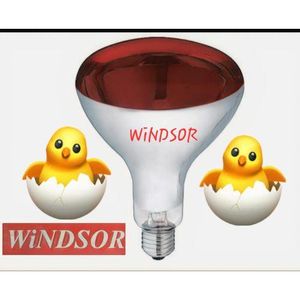 🐔 NEW ARRIVAL – Poultry Heat Lamp 250W Red Infrared Bulb – Chicken Coop & Brooder Heater, Pet & Reptile Warmer – 220V E27 Socket, Durable Glass Design for Farm & Home Use 🔥