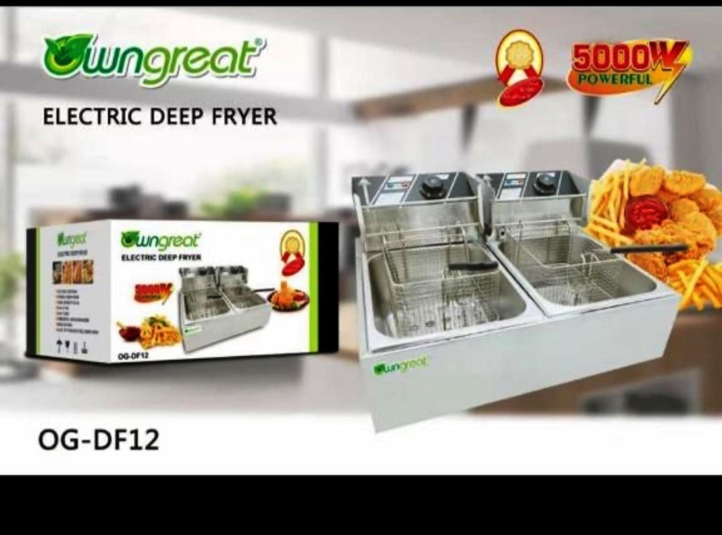 Stainless Steel Deep Fryer, Double Fryer, 2 x 6 Litres, Adjustable Temperature, Enamelled Container, Lid, 2500 W, Temperature Range: 50-200 °C