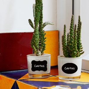 Reusable Waterproof Chalkboard Labels Blackboard Mason Jar Stickers Blackboard Stickers for The Kitchen, Pantry, Mason Jars, Wine Glasses (Black)with pen