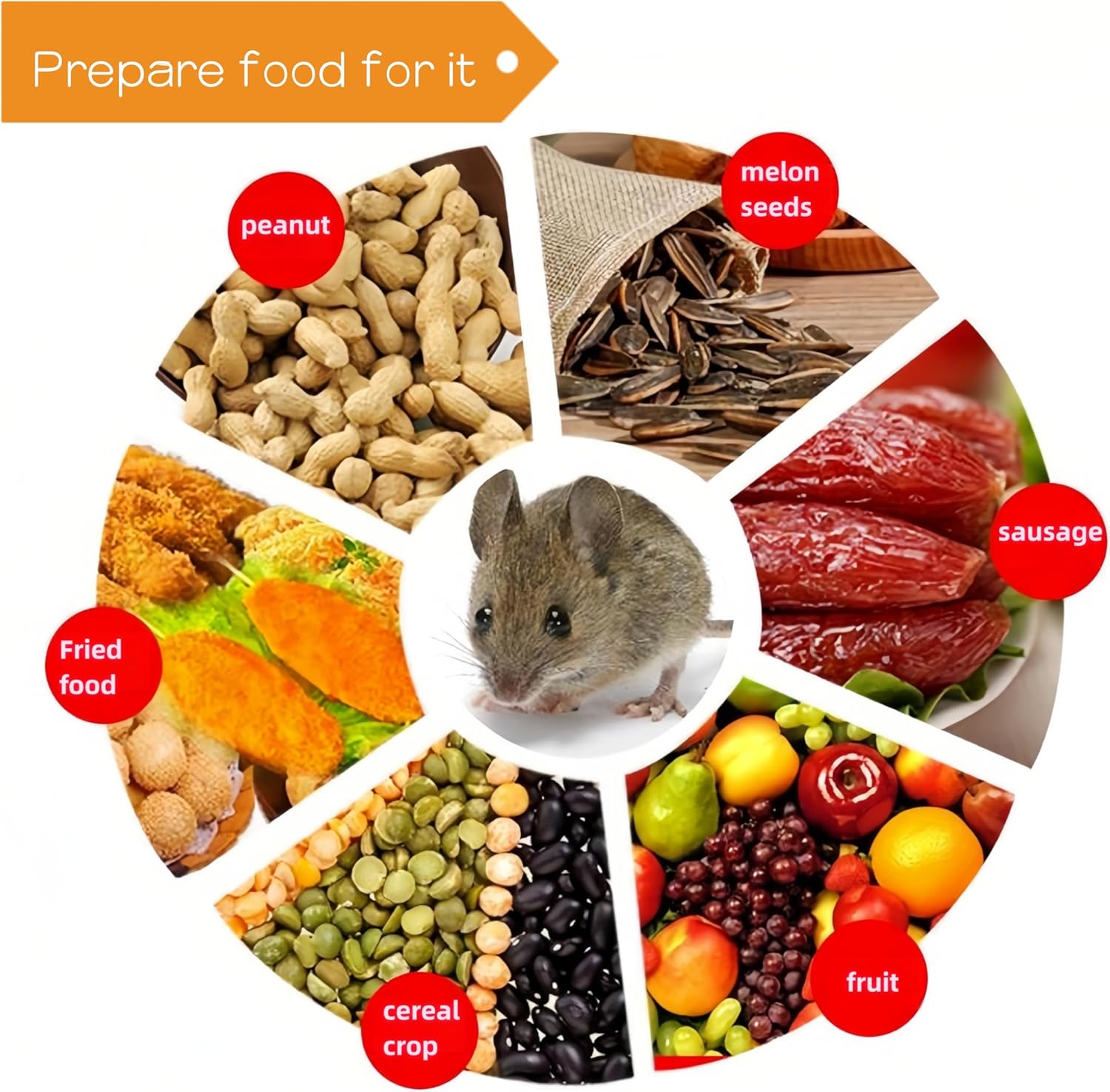 Mouse Traps Indoor for Home Mice Trap for House Best Mouse Trap Bucket Outdoor Gopher Chipmunk Mole Cat Snake Rat Mousetraps Trampas para Ratones