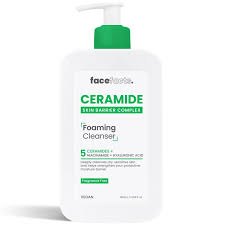 Foaming Facial Cleanser, Daily Face Wash for Oily Skin, Hyaluronic Acid + Ceramides + Niacinamide, Fragrance Free & Paraben Free, Non-Drying Oil Control Face Wash