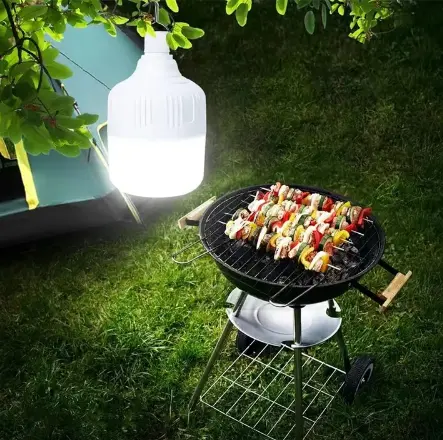 Chargeable reading lights + free charging cable Outdoor USB Rechargeable LED Lamp Bulbs Emergency Light 20W 40W 80W 150W Portable Hook Up Camping Lights Home Decor Night Light + free charging cable