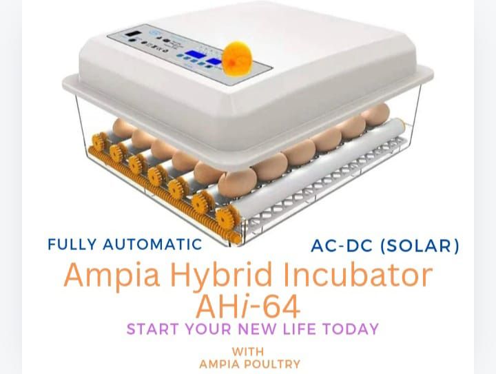 NEW ARRIVAL 64 Chicken Automatic Hybrid Incubator at Affordable Price