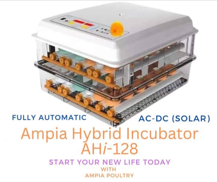 NEW ARRIVAL128 Chicken Automatic Hybrid Incubator at Affordable Price
