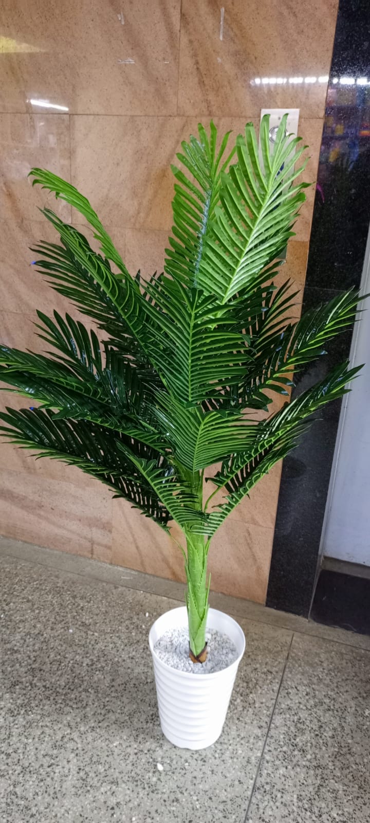 [🔥LIMITED OFFER🔥 🥑🌽ONLY AT KILIMALL !!! ]  1Pc Brand New Very Quality  Stylish Palm tree 1.6 m   Resistant For Indoor & Outdoor at Affordable Price