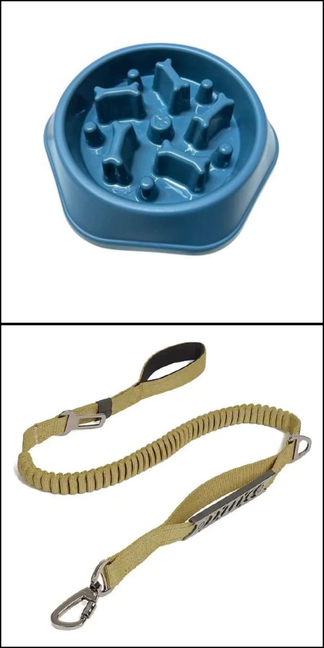 Heavy Duty Dog Leash Harness Collar Vest Set, Handcrafted & Anti-twist Safety Metal Clip, Adjustable Dog Basic Halter Martingale Braided Collar Pets Training Leads and a slow feeder dog bowl