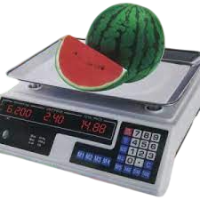 Digital Computing Scale (Armless) – High-Precision, Compact & User-Friendly Weighing Scale with LCD Display for Accurate Measurements