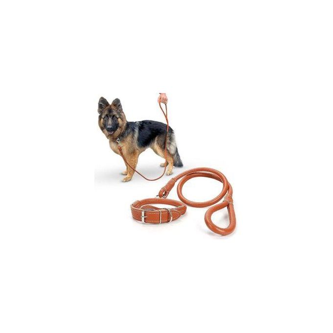 “Adjustable Easy‑Grip Rolled‑Up PU Leather Dog Collar & Leash Set — Anti‑Hair Tangling, Available in Black & Brown”