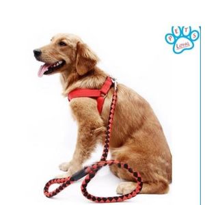 “Adjustable Easy‑Grip Rolled‑Up Dog Collar & Leash Set — Anti‑Hair Tangling, Available in Black & Brown”