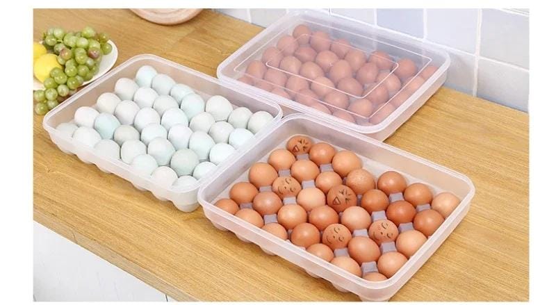 Egg Tray Holder - 34 Eggs Holder