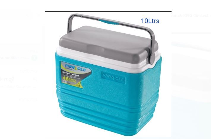 Pinnacle Cooler Box 4.5 ltrs Chiller Cool Box Portable For Ice or  Medicine or  Ice Pop Picnic Travel Hiking