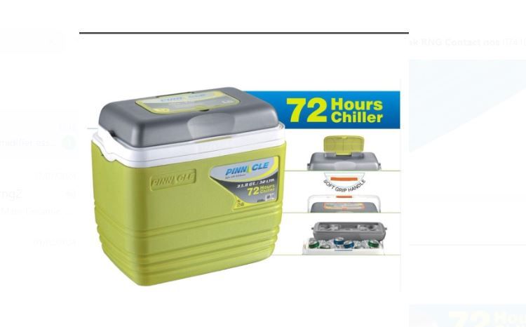 Pinnacle Cooler Box 32 ltrs Chiller Cool Box Portable For Ice or  Medicine or  Ice Pop Picnic Travel Hiking 72 Hrs Chiller