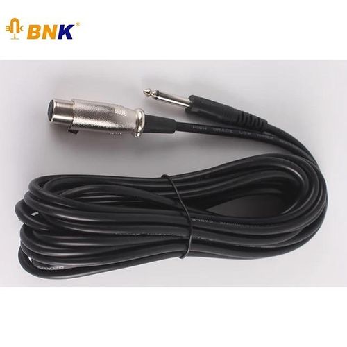 Bnk Professional Wired Mic B1