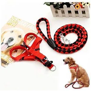 Adjustable No-Pull Dog Harness & Leash Set – Comfortable, Secure & Tangle-Free Walking Solution for Small to Medium Dogs | Breathable, Durable & Easy to Use Pet Outdoor Gear for Kenyan Pet Owners