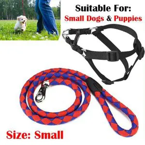 Adjustable 2 in 1 No-Pull Dog Harness & Leash Set – Anti-Choke, Reflective, Breathable & Escape-Proof Design for Small, Medium & Large Dogs – Built for Comfort & Control!