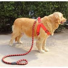 Large Pet Leash Leashes for Small Breed Dogs Pet Traction Strap Dog Rope Heavy Duty Braided Leash with Harness and Seat Belt – Multicolor Durable Dog Walking Gear