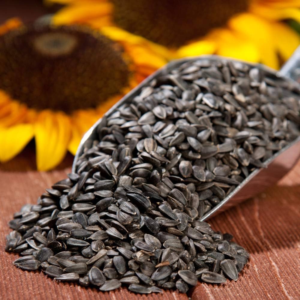 Organic🌻 Sunflower Seeds 250g