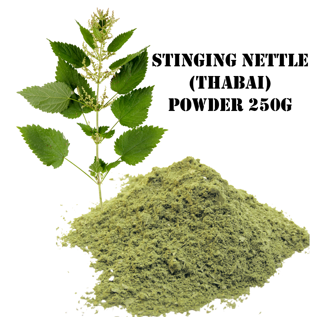 Stinging Nettle (Thabai) Powder 250g