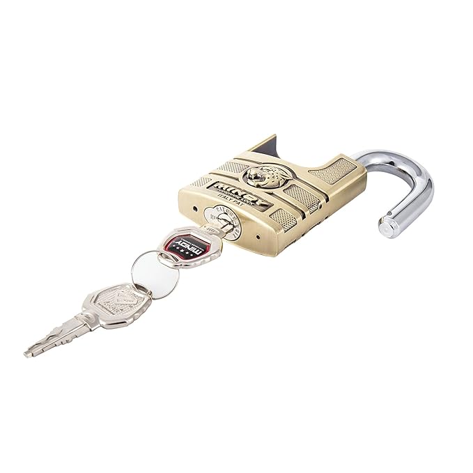 Mindy Heavy Duty Metal Padlock with Keys – Secure Outdoor & Indoor Use, Anti-Rust & Cut-Resistant - For Gates, Lockers, Storage & Bikes, Weatherproof