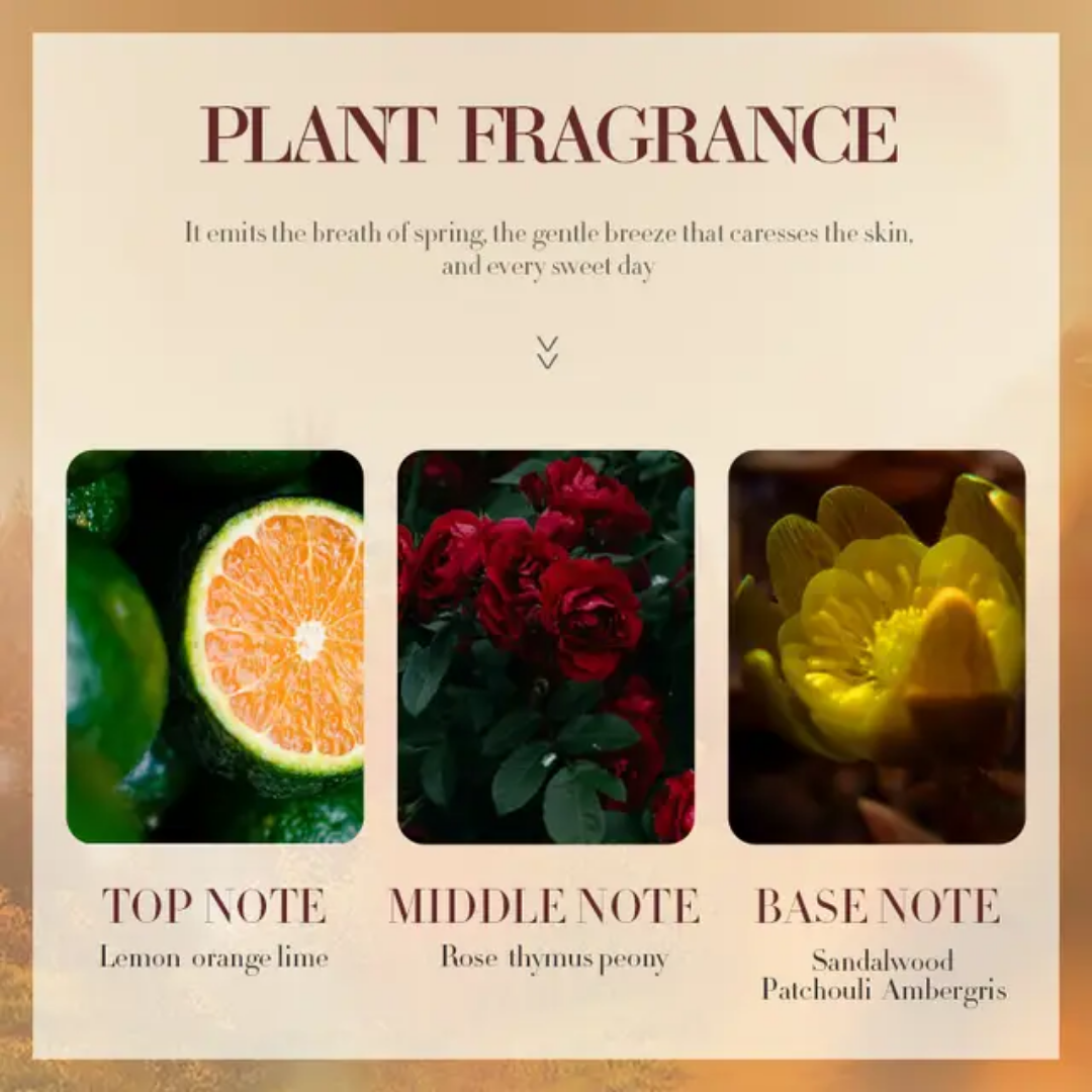 Sadoer Moroccan Argan Oil Hair Conditioner Soft and silky hair Anti-frizz Anti-dryness Anti-split hair conditioner (500 ml)