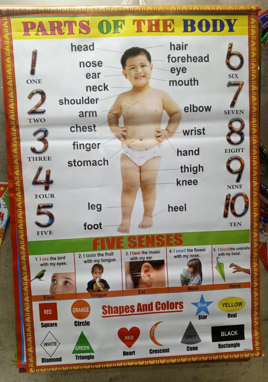 SCHOOL CHARTS. Educational School Charts – Learning & Classroom Posters,Covers subjects like alphabets, numbers, science, and more,Durable, tear-resistant material for long-term use,Perfect for class.