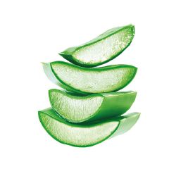 Nice & Lovely Lotion Aloe Vera With Natural Oils