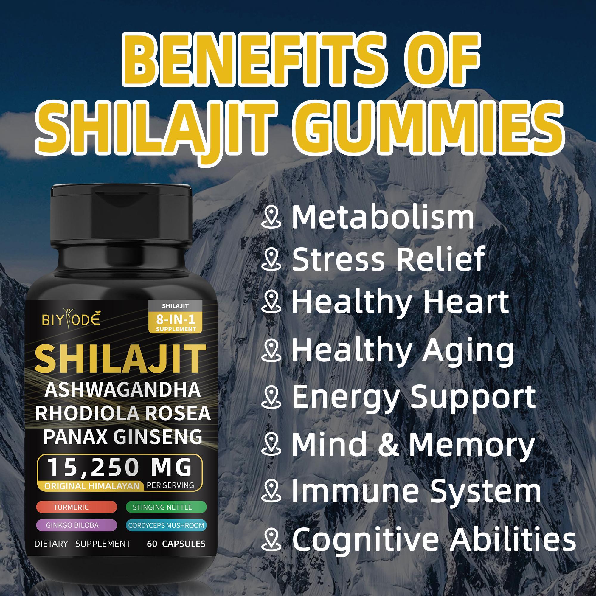 BIY ODE Shilajit Supplement, Shilajit Capsules, 100% Pure Shilajit Contains 85+ Trace Minerals and 60% Fulvic Acid, Boosts Energy and Immunity, Vegan, Natural