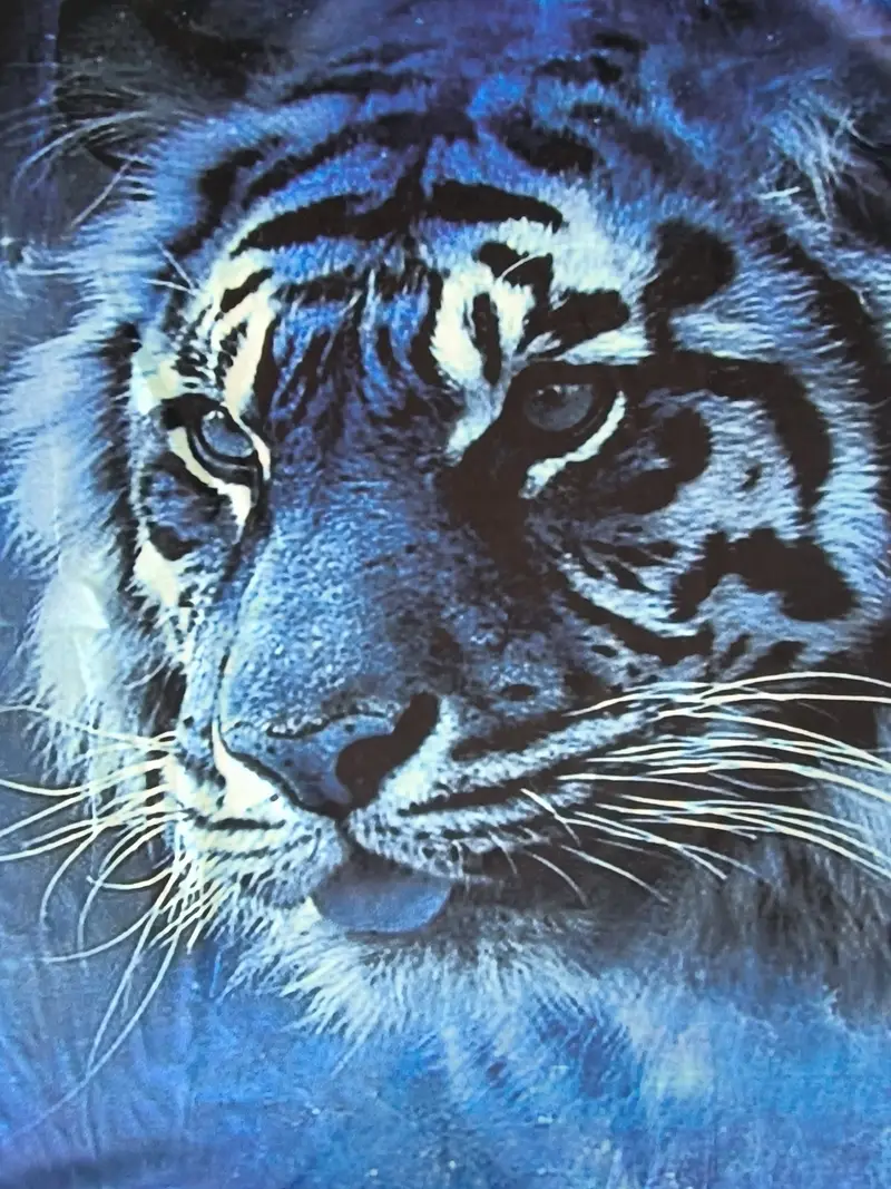 3D Tiger Print, Men's Graphic Design Crew Neck Novel T-shirt, Casual Comfy Tees Tshirts For Summer, Men's Clothing Tops For Daily Vacation Resorts
