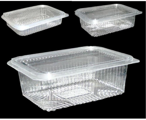 Multi-Purpose Disposable Plastic Food Containers 20 Pcs