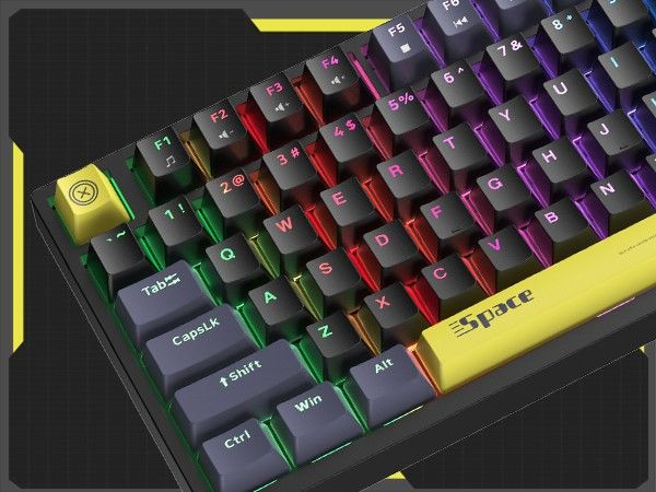 ONIKUMA G52 82 Keys USB Wired Mechanical Keyboard, Professional Gaming Keyboard with RGB Backlit Matte Key Caps for PC Laptop