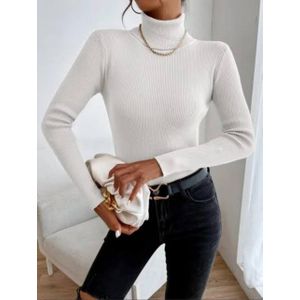 Fashion ladies pullneck