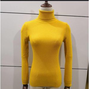Fashion ladies pullneck