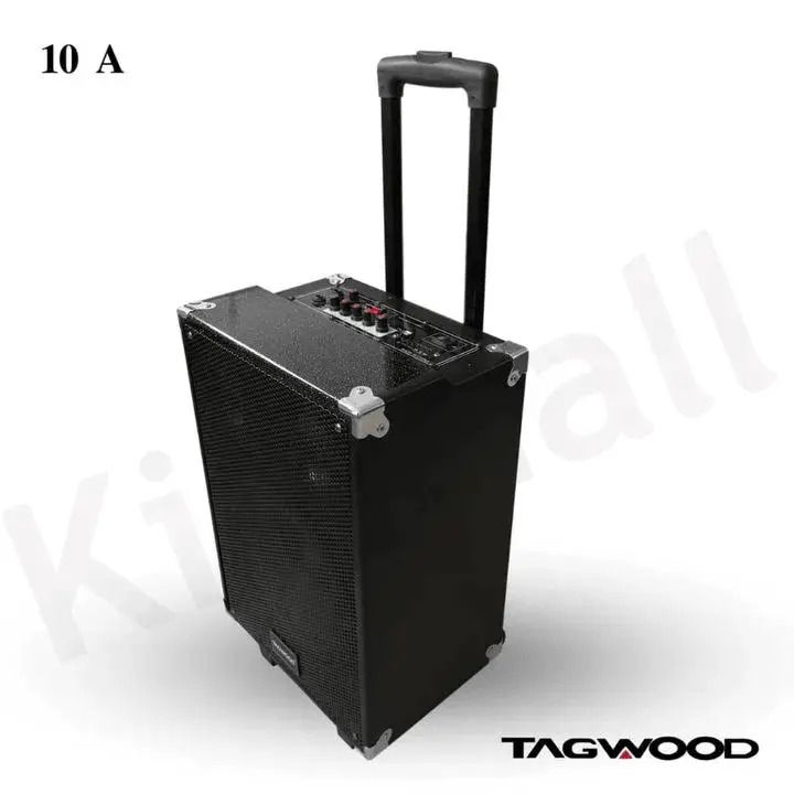 TAGWOOD LTS-10A Subwoofer Outdoor Speaker ,Bluetooth,Free Wireless Microphone & a Built in Battery Woofer
