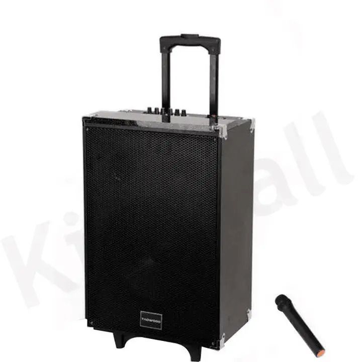 TAGWOOD LTS-10A Subwoofer Outdoor Speaker ,Bluetooth,Free Wireless Microphone & a Built in Battery Woofer