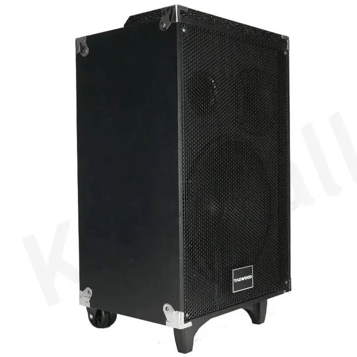 TAGWOOD LTS-10A Subwoofer Outdoor Speaker ,Bluetooth,Free Wireless Microphone & a Built in Battery Woofer