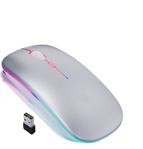 Rechargeable Wireless RGB Mouse | Wireless Mouse | Silent Clicks | Long Battery Life | Gaming Mouse