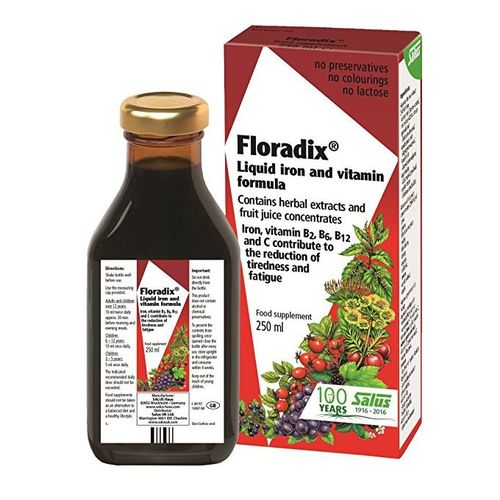 Floradix Liquid Iron And Vitamin Formula - Highly Absorbable Liquid Iron Gluconate - Supports Blood Building, And Energy Support 250ml