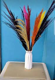 NATURAL DRIED HOME DECOR PAMPAS GRASS-60-70cm long /BOHO DECOR/ DRIED GRASS DECOR/LOCALLY SOURCED HOME DECOR(NO VASE)