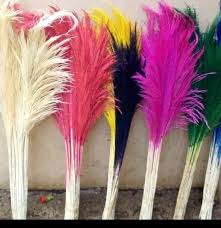 NATURAL DRIED HOME DECOR PAMPAS GRASS-60-70cm long /BOHO DECOR/ DRIED GRASS DECOR/LOCALLY SOURCED HOME DECOR(NO VASE)