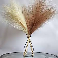 NATURAL DRIED HOME DECOR PAMPAS GRASS-60-70cm long /BOHO DECOR/ DRIED GRASS DECOR/LOCALLY SOURCED HOME DECOR(NO VASE)