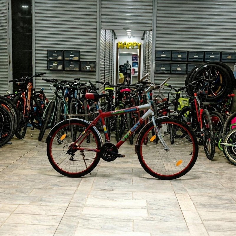 Victory V2601 Mountain Bike with Front Suspension, Multi-Speed Gears & Rear Rack