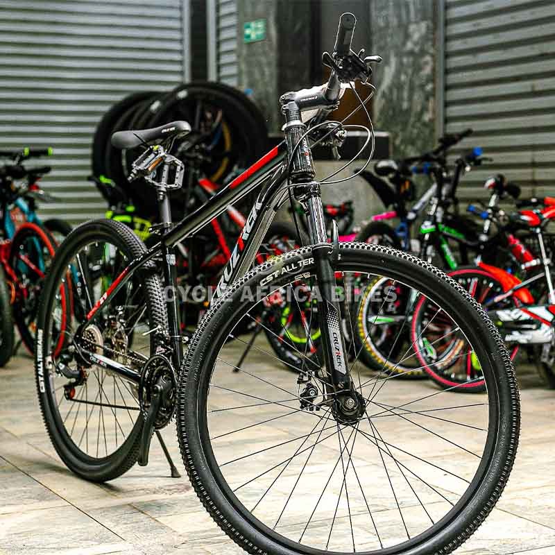 CruzTrek Komet Mountain Bike 29-Inch with Steel Frame