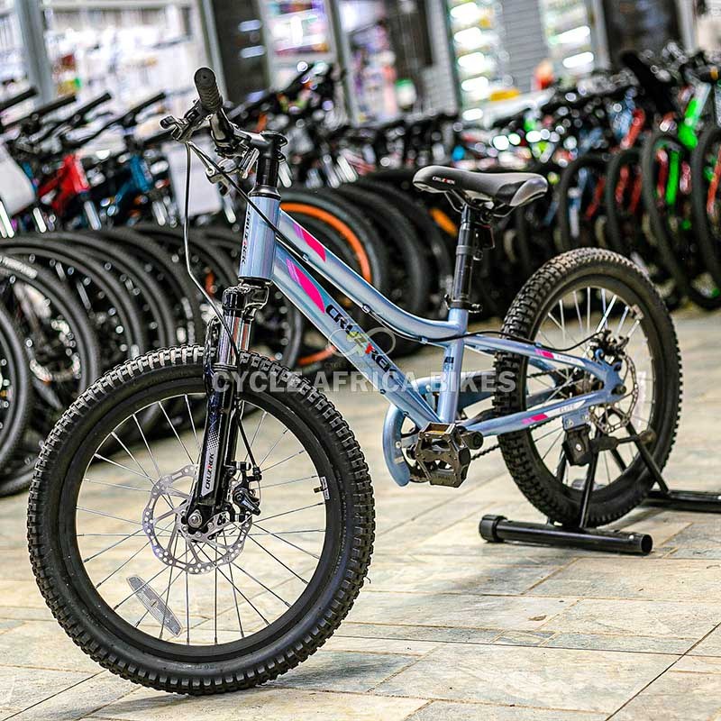 Cruztrek Kaiser Elite 20-Inch Kids Bike with Disc Brakes
