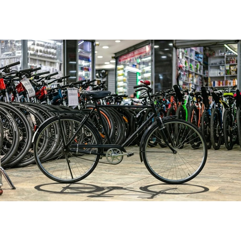 RAJA Mamba Classic Roadster Bicycle