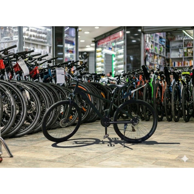 DB 780 Mountain Bike 26-Inch with Disc Brakes
