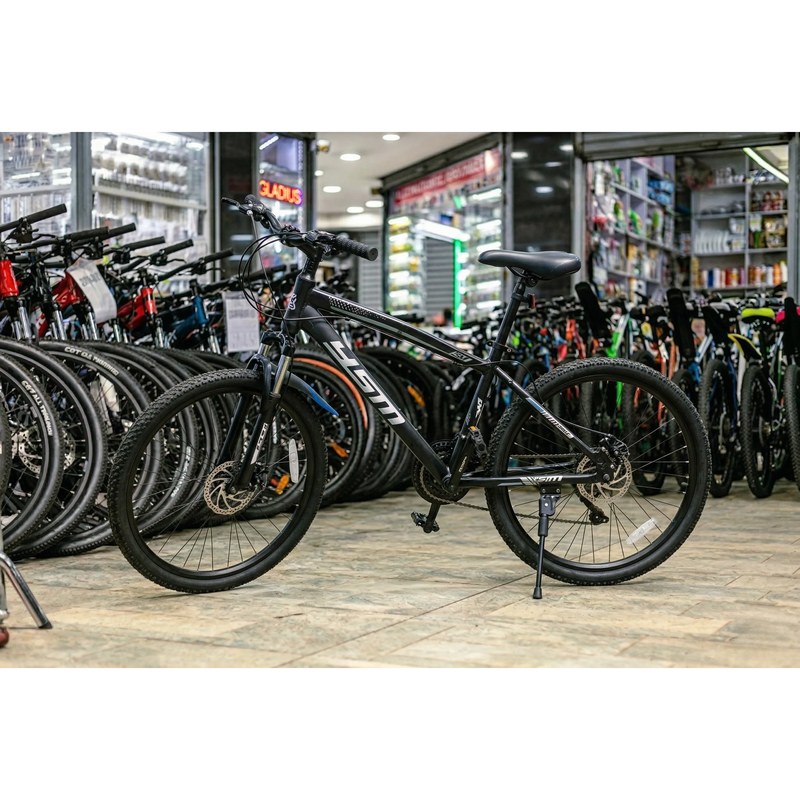 GM 001 Bike Size 24 with Front Suspension and Disc Brakes