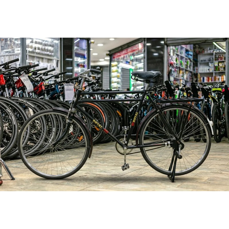 Royal Classic Roadster Bicycle with 26-Inch Wheels