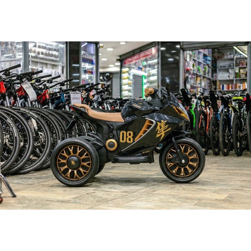 PR Model 1688 Rechargeable Toy Bike