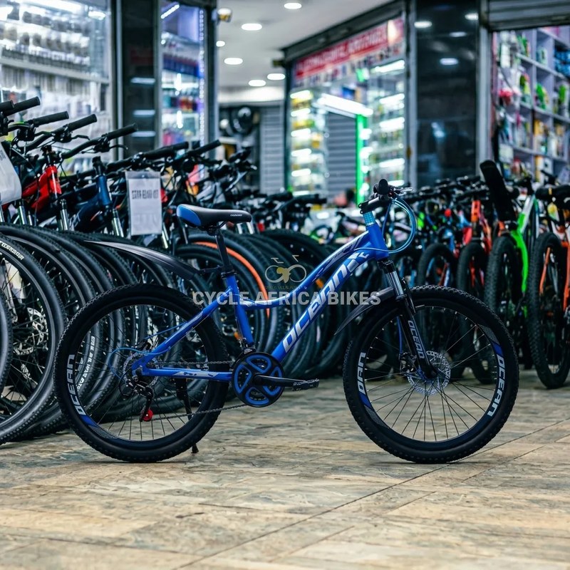 Ocean Bike 24-Inch with Gear and Mechanical Disc Brakes
